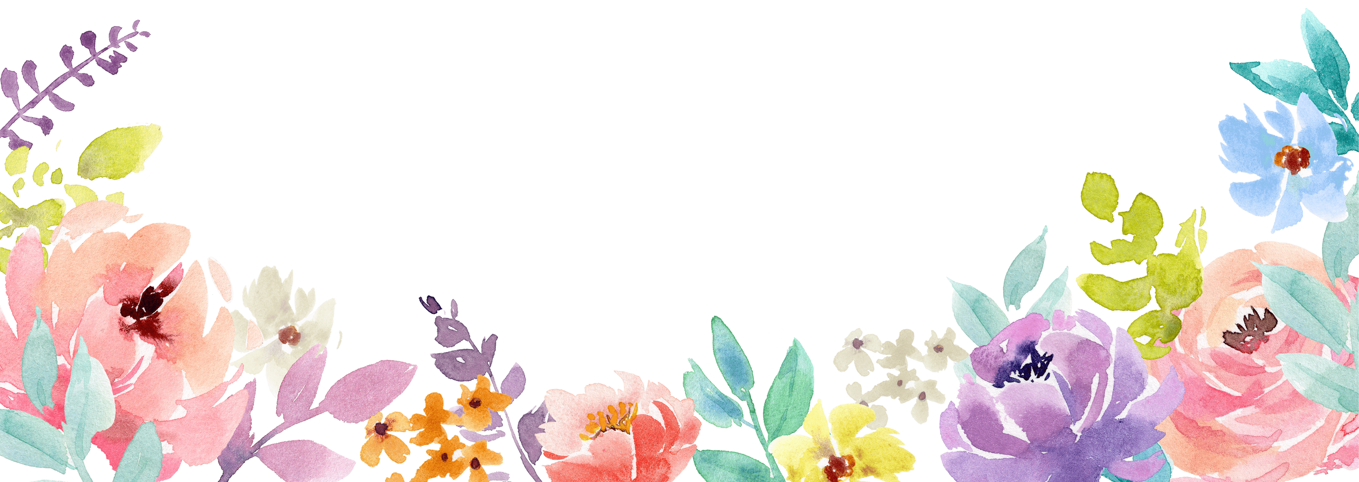 watercolor flowers on a white background.  Flowers used on Rooma Para, children's picture book author, website home page. Self-published author and designer and creator.  